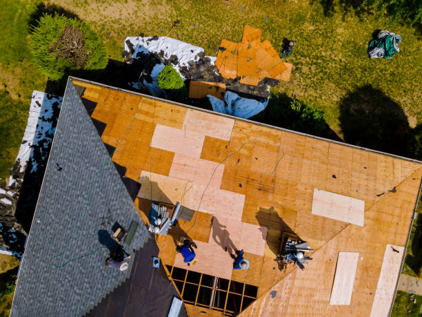 Best Tile Roofing Contractor  in Juneau, AK