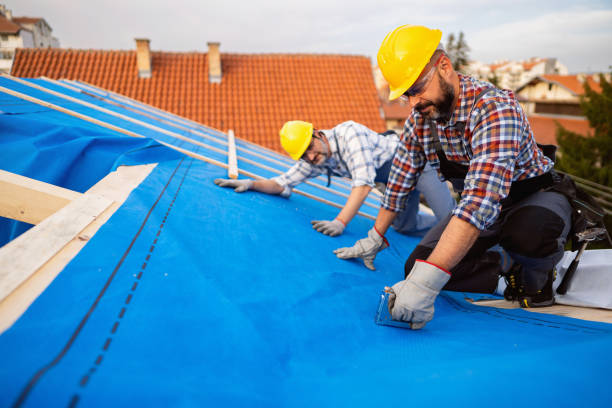 Best Roof Waterproofing Services  in Juneau, AK